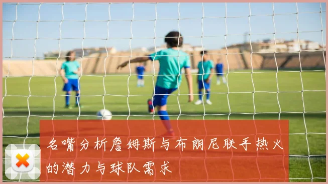 名嘴分析詹姆斯与布朗尼联手热火的潜力与球队需求