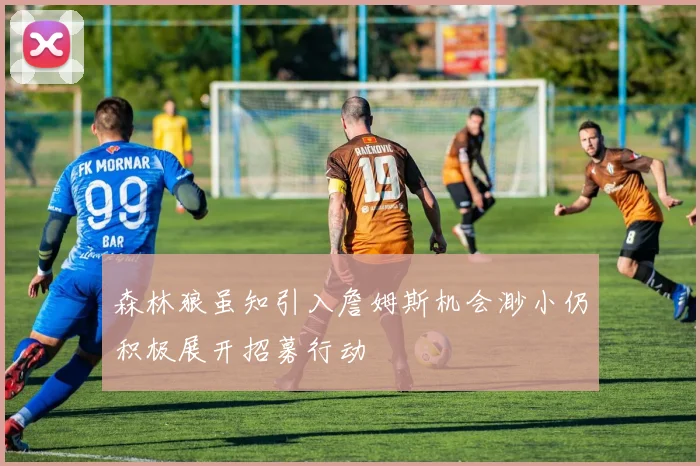 森林狼虽知引入詹姆斯机会渺小仍积极展开招募行动
